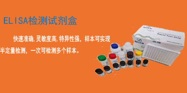 ELISA试剂盒